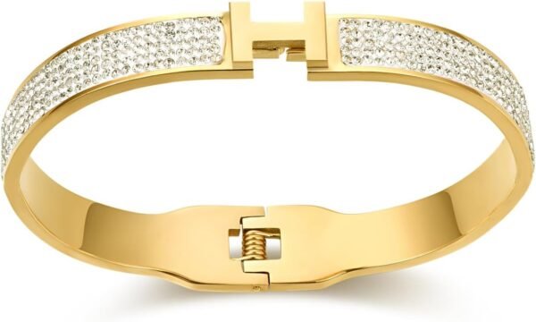 Gold and Silver Plated Bangle Bracelet for Women Stainless Steel with Cubic Zirconia Womens Jewelry