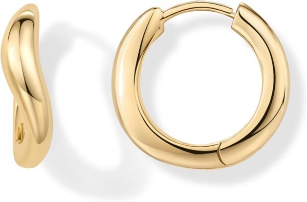 Gold Plated 925 Sterling Silver Posts Wavy Huggie Hoops | Twisted Wave Hoop Earrings for Women