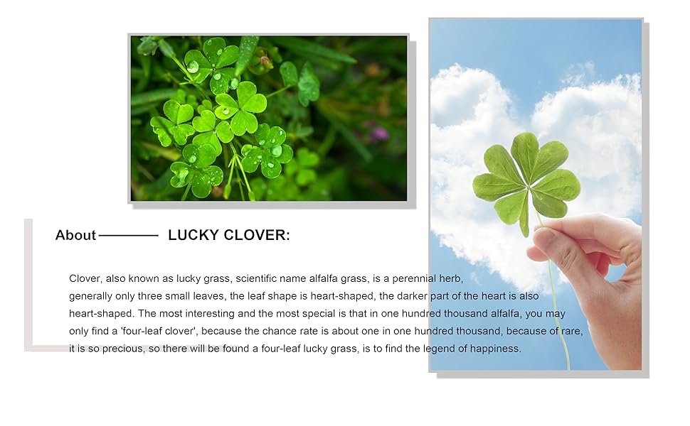 clover necklace
